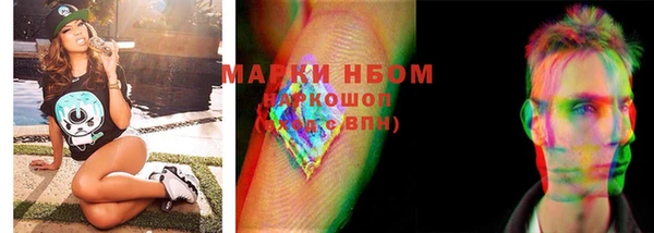 PSILOCYBIN Аркадак