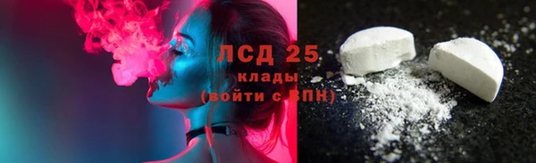 PSILOCYBIN Аркадак