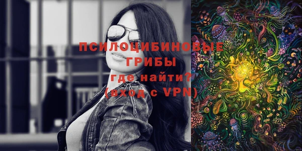 винт Арсеньев
