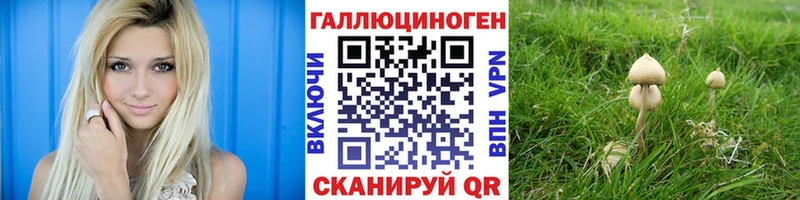 Купить  Вяземский  Псилоцибиновые грибы мицелий 